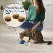 Фото - сухий корм Cat Chow (Кет Чау) Adult (ЕДАЛТ) Корм для дорослих кішок з куркою 15 кг
