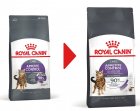 Фото - сухий корм Royal Canin APPETITE CONTROL (АПЕТИТ КОНТРОЛЬ) корм для стерилізованих кішок від 1 до 7 років