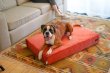 Фото - лежаки, матраси, килимки та будиночки Harley & Cho OLIVER VELUR TERRACOTTA ортопедичний матрац для собак, оранжевий