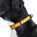 Фото - амуниция Collar EVOLUTOR супер прочный ошейник для собак ОРАНЖЕВЫЙ