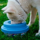 Фото - миски, напувалки, фонтани TILTY Bowl Миска непроливайка для собаки, cream