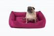 Фото - лежаки, матраси, килимки та будиночки Harley & Cho DREAMER BERRY лежак для собак, фуксія