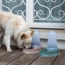 Фото - миски, напувалки, фонтани Stefanplast (Стефанпласт) Multireserve Chic Food/Water миска автоматична пластикова для собак і кішок, смарагдовий