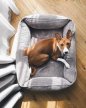 Фото - лежаки, матрасы, коврики и домики Harley & Cho DREAMER VELVET GRAY лежак для собак (вельвет), серый