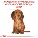 Фото - сухий корм Royal Canin DACHSHUND PUPPY (ТАКСА ПАППІ) корм для цуценята до 10 місяців