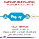 Фото - сухий корм Royal Canin GERMAN SHEPHERD PUPPY (НІМЕЦЬКА ВІВЧАРКА) корм для цуценята до 15 місяців