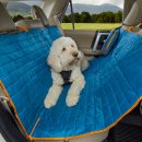Фото - аксессуары в авто Kurgo Loft Hammock накидка на заднее сиденье автомобиля для собак, голубой-оранжевый