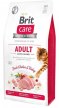 Фото - сухой корм Brit Care Cat Grain Free Adult Activity Support Chicken & Turkey беззерновой сухой корм для активных кошек КУРИЦА и ИНДЕЙКА