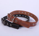 Collar (Коллар) - БЕЗРАЗМЕРНЫЙ кожаный ошейник для собак одинарный (0295)