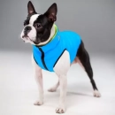 Фото - одяг Collar (Колар) AIRY VEST (ЕЙРІ ВЕСТ ДВУСТОРОННЯ) куртка для собак, салатово-жовтий