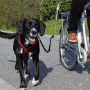 Фото - велоаксесуари Trixie Biker-Set Holder for Saddlebar - Сполучна частина для велонабору для собак з кріпленням до велосипеда (1287-10)