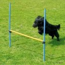 Фото - дресирування та спорт Trixie Hurdle - бар'єр для тренування собак (3207)