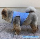 Фото - одяг Trixie COOLING VEST Охолодний жилет для собак
