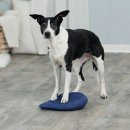 Фото - дресирування та спорт Trixie BALANCE CUSHION балансировочная подушка для тренировки собак (32093)