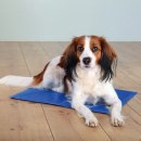 Фото - лежаки, матрасы, коврики и домики Trixie Cooling Mat - Охлаждающий коврик для собак и кошек