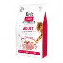 Фото - сухий корм Brit Care Cat Grain Free Adult Activity Support Chicken & Turkey беззерновий сухий корм для активних кішок КУРКА та ІНДИЧКА