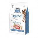 Фото - сухий корм Brit Care Cat Grain Free Large Power & Vitality Dack & Chicken беззерновий сухий корм для кішок великих порід КАЧКА та КУРКА