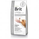 Фото - ветеринарные корма Brit Veterinary Diet Dog Grain Free Joint & Mobility Herring & Pea беззерновой сухой корм для собак при заболеваниях суставов СЕЛЬДЬ и ГОРОХ