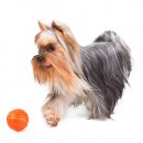Фото - игрушки Collar Liker (Лайкер) - мяч-игрушка для щенков и взрослых собак