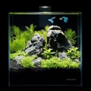 Фото - аквариумы Collar PICO SET аквариумный набор, 5 л (7141)