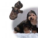 Фото - одежда DoggyDolly Сamouflage - Комбинезон для собак