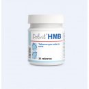 Фото - витамины и минералы Dolfos (Дольфос) Dolvit HMB - Витаминно-минеральный комплекс для поддержания мышц для собак и кошек