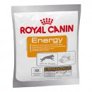 Фото - лакомства Royal Canin Energy лакомство для собак