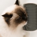 Фото - расчески, щетки Hagen Self Groomer щетка массажер для кота (43152)