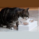 Hagen Catit Glass Dinner - Миски на подставке, набор для кошек