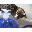 Hagen Catit Large Drinking Fountain - Питьевой фонтан для кошек и собак (50050)