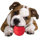 Фото - игрушки Hagen NERF DOG Tire Squeak Ball игрушка для собак, с пищалкой