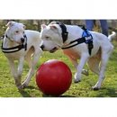 Фото - іграшки Jolly Pets BOUNCE-N-PLAY іграшка для собак, м'яч ВЕЛИКИЙ