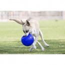 Фото - іграшки Jolly Pets JOLLY SOCCER BALL іграшка для собак, футбольний м'яч