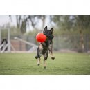 Фото - іграшки Jolly Pets JOLLY SOCCER BALL іграшка для собак, футбольний м'яч