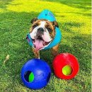 Фото - іграшки Jolly Pets TEASER BALL іграшка для собак, м'яч у м'ячі МАЛИЙ