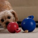 Фото - іграшки Jolly Pets TUG-N-TOSS MINI іграшка для собак, м'яч із ручкою міні