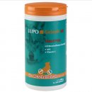 Фото - хондропротекторы Luposan (Люпосан) Lupo Gelenk 40 Tabletten - Таблетки для укрепления суставов и костей у собак
