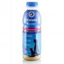 Oralade (Оралэйд) + ПРЕБИОТИК питательный раствор электролитов для собак и кошек (при обезвоживании, после операций, родов, в жару) 500 мл