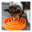 Фото - миски, напувалки, фонтани Outward Hound FUN FEEDER SLO - BOWL миска - лабіринт для повільної їжі для собак