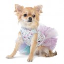 Фото - одяг Pet Fashion ДЕЙЗИ платье для собак