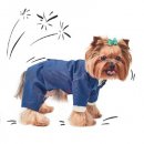 Фото - одяг Pet Fashion (Пет Фешин) ДЖОВАННЯ костюм трійка для собак