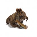 Фото - іграшки Petstages DOGWOOD STICK іграшка для собак МІЦНА ГІЛКА