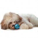 PETSTAGES Mini Orka Ball with rope Орка мини мячик с канатиками - игрушка для собак, 22 x 6 x 6 cм 
