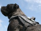 Collar POLICE Регулируемая шлея для собак ЧЕРНАЯ