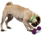PetSafe WAGGLE (Ваггл) Суперпрочная игрушка-лакомство для собак