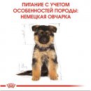 Royal Canin GERMAN SHEPHERD PUPPY (НЕМЕЦКАЯ ОВЧАРКА) корм для щенков до 15 месяцев