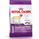 Фото - сухий корм Royal Canin GIANT JUNIOR ACTIVE (ЮНІОРИ ГІГАНТСЬКИХ ПОРІД АКТИВ) корм для цуценят від 8-24 місяців