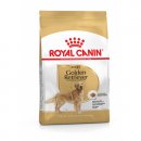 Royal Canin GOLDEN RETRIEVER ADULT (ГОЛДЕН РЕТРИВЕР ЭДАЛТ) корм для собак от 15 месяцев