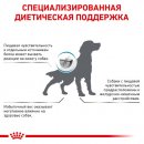 Фото - ветеринарные корма Royal Canin HYPOALLERGENIC MODERATE CALORIE - гипоаллергенный низкокалорийный корм для собак