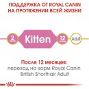 Royal Canin Kitten BRITISH SHORTHAIR (БРИТАНСКАЯ КОРОТКОШЕРСТНАЯ КИТТЕН) корм для котят до 12 месяцев
